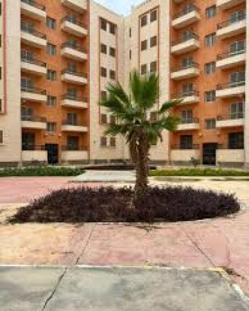 التشطيب والديكور